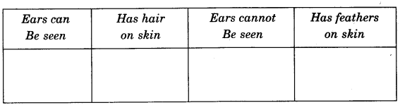 NCERT Solutions for 4th Class Environmental Studies Chapter 2-Ear To Ear