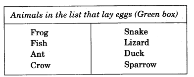 NCERT Solutions for 4th Class Environmental Studies Chapter 2-Ear To Ear