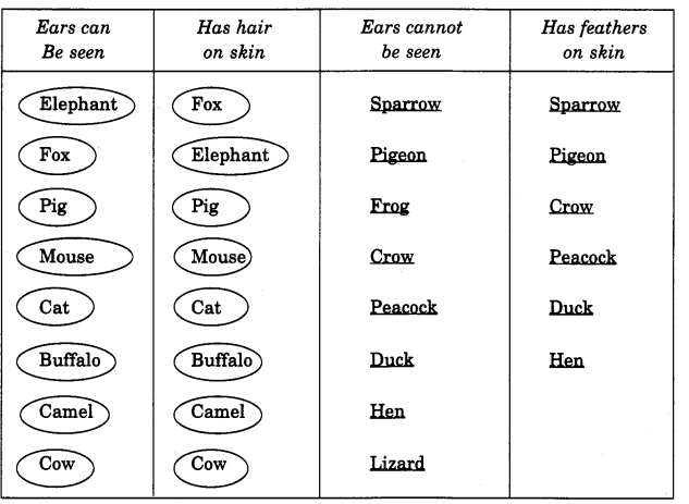 NCERT Solutions for 4th Class Environmental Studies Chapter 2-Ear To Ear