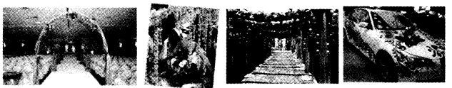 NCERT Solutions for 4th Class Environmental Studies Chapter 9-Changing Families