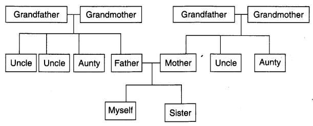 NCERT Solutions for 4th Class Environmental Studies Chapter 9-Changing Families