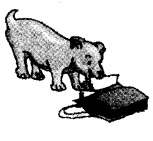 NCERT Solutions for 4th Class English: Chapter 2-NEHA’S ALARM CLOCK