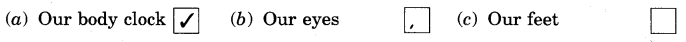 NCERT Solutions for 4th Class English: Chapter 2-NEHA’S ALARM CLOCK