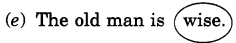 NCERT Solutions for 4th Class English: Chapter 4-THE LITTLE FIR TREE
