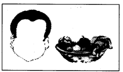 NCERT Solutions for 4th Class English: Chapter 12-The Milkman’s Cow