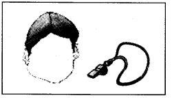 NCERT Solutions for 4th Class English: Chapter 12-The Milkman’s Cow