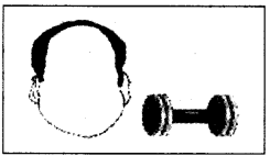 NCERT Solutions for 4th Class English: Chapter 12-The Milkman’s Cow