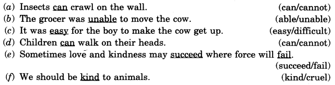 NCERT Solutions for 4th Class English: Chapter 12-The Milkman’s Cow