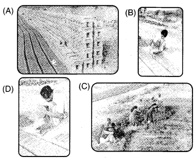 NCERT Solutions for 4th Class Maths Chapter 1-Building With Bricks