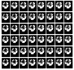 NCERT Solutions for 4th Class Maths Chapter 11-Tables And Shares