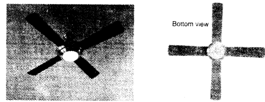 NCERT Solutions for 4th Class Maths Chapter 5-The Way The World Looks