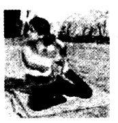 NCERT Solutions for 4th Class Maths Chapter 5-The Way The World Looks