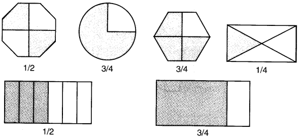 NCERT Solutions for 4th Class Maths Chapter 9-Halves And Quarters
