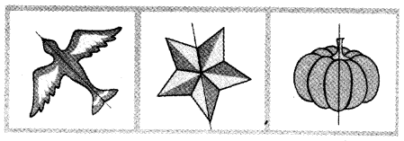 NCERT Solutions for 4th Class Maths Chapter 9-Halves And Quarters