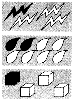 NCERT Solutions for 4th Class Maths Chapter 9-Halves And Quarters