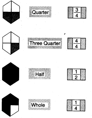 NCERT Solutions for 4th Class Maths Chapter 9-Halves And Quarters