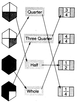 NCERT Solutions for 4th Class Maths Chapter 9-Halves And Quarters