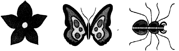 NCERT Solutions for 4th Class Maths Chapter 9-Halves And Quarters