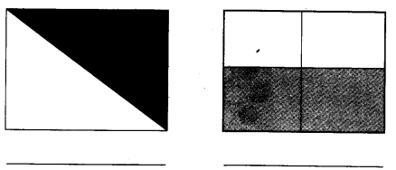 NCERT Solutions for 4th Class Maths Chapter 9-Halves And Quarters