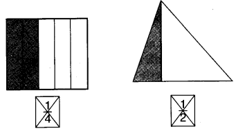 NCERT Solutions for 4th Class Maths Chapter 9-Halves And Quarters