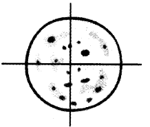 NCERT Solutions for 4th Class Maths Chapter 9-Halves And Quarters