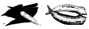NCERT Solutions for 4th Class Environmental Science –(पर्यावरण अध्ययन): Chapter 15-मंडी से घर तक