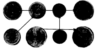 NCERT Solutions for 4th Class Environmental Science –(पर्यावरण अध्ययन): Chapter 24-दूर देश की बात