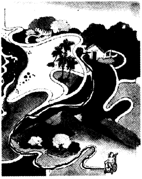 NCERT Solutions for 4th Class Environmental Science –(पर्यावरण अध्ययन): Chapter 27-कोशिश हुई कामयाब