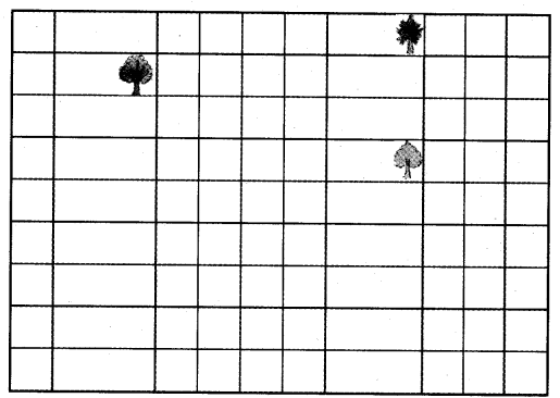 NCERT Solutions for 5th Class Maths Chapter 11-Area and Its Boundary