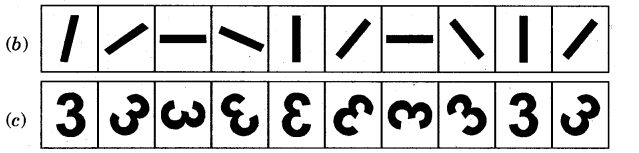 NCERT Solutions for 5th Class Maths Chapter 7-Can You See The Pattern?