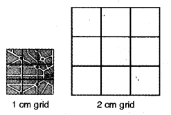 NCERT Solutions for 5th Class Maths Chapter 8-Mapping Your Way