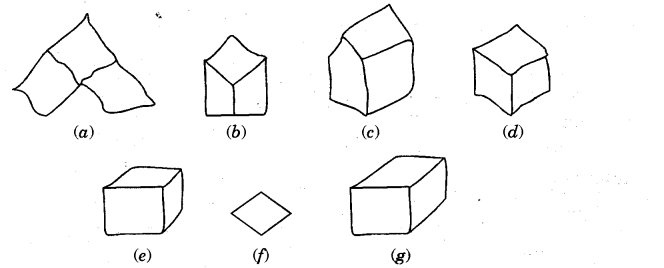 NCERT Solutions for 5th Class Maths Chapter 9-Boxes And Sketches