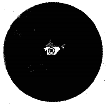NCERT Solutions for 5th Class Environmental Science –(पर्यावरण अध्ययन): Chapter 11-सुनीता