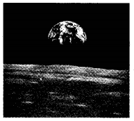 NCERT Solutions for 5th Class Environmental Science –(पर्यावरण अध्ययन): Chapter 11-सुनीता
