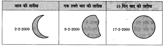 NCERT Solutions for 5th Class Environmental Science –(पर्यावरण अध्ययन): Chapter 11-सुनीता