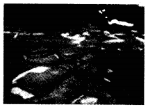 NCERT Solutions for 5th Class Environmental Science –(पर्यावरण अध्ययन): Chapter 13-बसेरा ऊँचाई पर