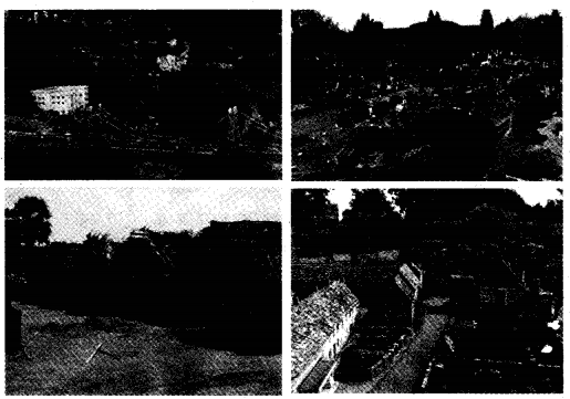 NCERT Solutions for 5th Class Environmental Science –(पर्यावरण अध्ययन): Chapter 18-जाएँ तो जाएँ कहाँ ?