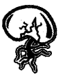 NCERT Solutions for 5th Class Environmental Science –(पर्यावरण अध्ययन): Chapter 5-बीज ,बीज ,बीज्