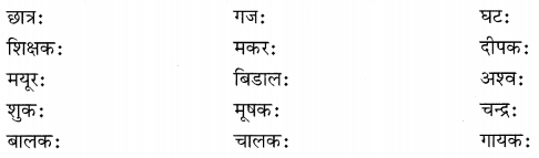 NCERT Solutions for Class 6th Sanskrit: Chapter 1-शब्द परिचयः 1
