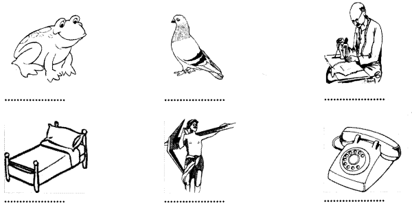 NCERT Solutions for Class 6th Sanskrit: Chapter 1-शब्द परिचयः 1