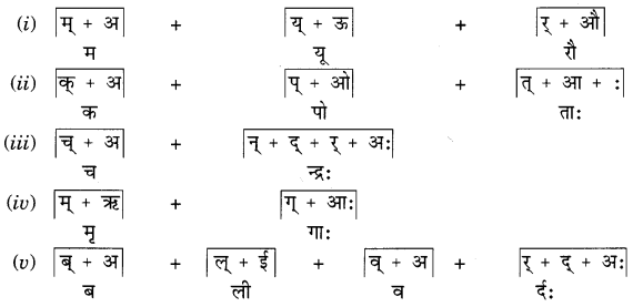 NCERT Solutions for Class 6th Sanskrit: Chapter 1-शब्द परिचयः 1