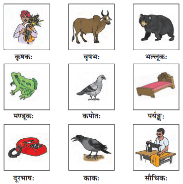 NCERT Solutions for Class 6th Sanskrit: Chapter 1-शब्द परिचयः 1