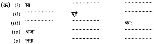 NCERT Solutions for Class 6th Sanskrit: Chapter 2-शब्द परिचयः 2