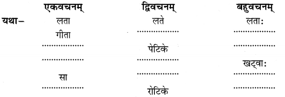 NCERT Solutions for Class 6th Sanskrit: Chapter 2-शब्द परिचयः 2