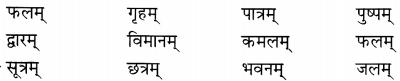 NCERT Solutions for Class 6th Sanskrit: Chapter 3-शब्द परिचयः 3