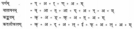 NCERT Solutions for Class 6th Sanskrit: Chapter 3-शब्द परिचयः 3
