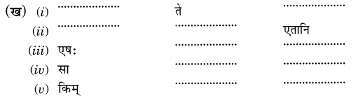 NCERT Solutions for Class 6th Sanskrit: Chapter 3-शब्द परिचयः 3