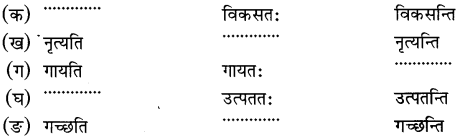 NCERT Solutions for Class 6th Sanskrit: Chapter 3-शब्द परिचयः 3
