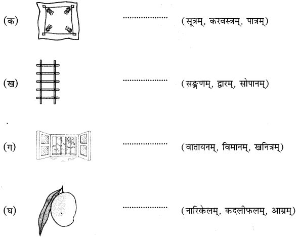 NCERT Solutions for Class 6th Sanskrit: Chapter 3-शब्द परिचयः 3