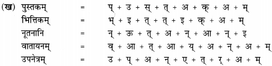 NCERT Solutions for Class 6th Sanskrit: Chapter 3-शब्द परिचयः 3